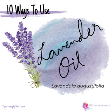 10 Ways To Use Lavender Essential Oil - Theas Essence